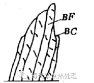 tlon.com.cn